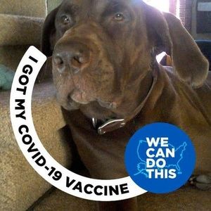 Meet your Posher, Jackie